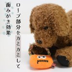 画像5: 【ポイント10倍で会員様はお得】 NEW デンタルロープTOY ハロウィンパレード（4114） (5)