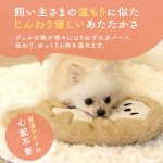 画像2: 【ポイント10倍で会員様はお得】 レンチン♪で簡単加熱の犬猫用湯たんぽラッコ（ポンポリース） (2)