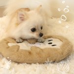 画像6: 【ポイント10倍で会員様はお得】 レンチン♪で簡単加熱の犬猫用湯たんぽラッコ（ポンポリース） (6)