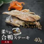 画像1: 犬猫用おやつ レトルト やわらかお肉の合鴨ステーキ［9354］常温保存（ポンポリース） (1)