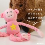 画像5: 犬猫用 デンタルロープTOY ウキウキモンキー（4748）お腹を押すとPee♪Pee♪ 腕はデンタルロープ 足はビョーンと伸び縮み 尻尾はカサカサ音♫ 多機能ぬいぐるみTOY［ポンポリース］ (5)