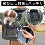 画像11: 【ポイント10倍で会員様はお得】 犬・猫用ペットキャリー  3WAYタッチインリュック パノラマビュ― ランドキャリ― (11)