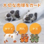 画像4: 【ポイント10倍で会員様はお得】 サンダル シューズソフトドット 【2〜5号】※在庫限り (4)