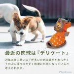 画像5: 【ポイント10倍で会員様はお得】 サンダル シューズソフトドット 【2〜5号】※在庫限り (5)