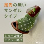 画像9: 【ポイント10倍で会員様はお得】 サンダル シューズソフトドット 【2〜5号】※在庫限り (9)