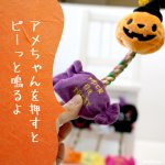 画像3: 【ポイント10倍で会員様はお得】 NEW デンタルロープTOY ハロウィンフレンズ（4115） (3)