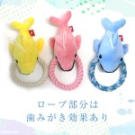 画像4: 【ポイント10倍で会員様はお得】デンタルロープTOY イルカショー ポンポリース (4)