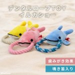 画像1: 【ポイント10倍で会員様はお得】デンタルロープTOY イルカショー ポンポリース (1)