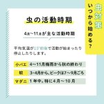 画像2: 【ポイント10倍で会員様はお得】 ムシイヤイヤ パルファン（ペット用防虫香水） (2)