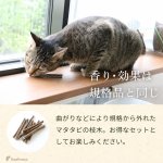 画像4: 【SALEでお得※在庫限りお早めに】またたびの木 国産 またたびの木 小枝・極細タイプ10本入※不揃いな枝も含む (4)