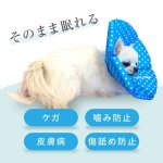 画像5: 【ポイント10倍で会員様はお得】 犬 猫 ペット用 エリザベスカラー  ロングブリリアントエリザベスカラー ルンルン水玉【1〜5号】 (5)