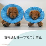 画像13: 【ポイント10倍で会員様はお得】 犬 猫 ペット用 エリザベスカラー  ロングブリリアントエリザベスカラー ルンルン水玉【1〜5号】 (13)