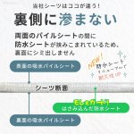 画像6: 【200円OFFクーポンあり】6カラーから選べる3枚Mサイズセット  洗って使えるペットシーツ【クーポンコード：3m200】 (6)