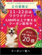 画像19: 【ポイント10倍で会員様はお得】 デンタルロープTOY シーフレンズ (19)