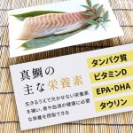 画像4: 【ポイント10倍で超お得!!会員様限定】 数量限定【国産】犬 猫用 ペット用 おやつ  国産 真鯛 たっぷり鯛フレーク (4)