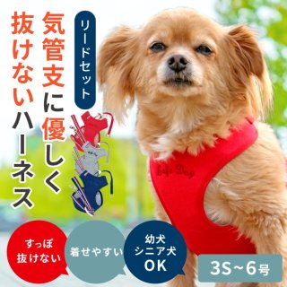 抜けないハーネス|後ずさりにも対応・愛犬の体に優しいお散歩ハーネス 