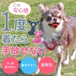 画像2: 【ポイント10倍で会員様はお得】犬用 スーパーハーネス &リードセット メッシュ ドッグスター 蓄光反射ワッペン付 1号〜6号 (2)