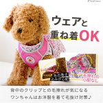 画像6: 【ポイント10倍で会員様はお得】犬用 スーパーハーネス &リードセット メッシュ ドッグスター 蓄光反射ワッペン付 1号〜6号 (6)