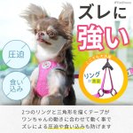 画像8: 【ポイント10倍で会員様はお得】犬用 スーパーハーネス &リードセット メッシュ ドッグスター 蓄光反射ワッペン付 1号〜6号 (8)