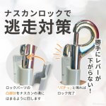 画像10: 【ポイント10倍で会員様はお得】犬用 スーパーハーネス &リードセット メッシュ ドッグスター 蓄光反射ワッペン付 1号〜6号 (10)