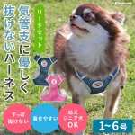 画像1: 【ポイント10倍で会員様はお得】犬用 スーパーハーネス &リードセット メッシュ ドッグスター 蓄光反射ワッペン付 1号〜6号 (1)