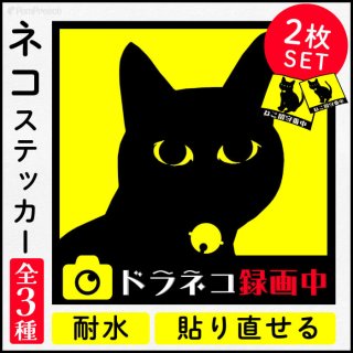 SALE】猫グッズ大特価セール - 創業41周年|ペット用品専門メーカー