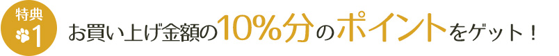 お買い上げ金額の10％分のポイントをゲット！